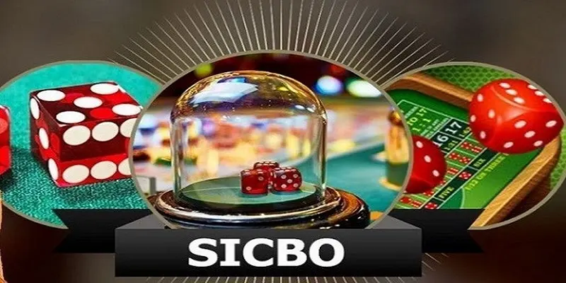 Quản lý tiền cược tốt khi chơi sicbo